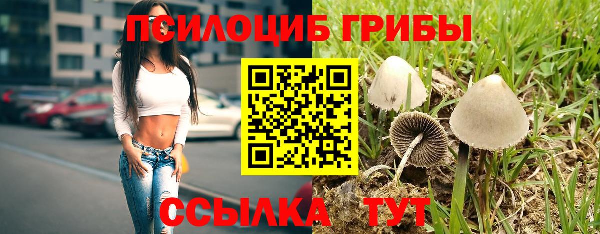 Псилоцибиновые грибы MAGIC MUSHROOMS  Вход с VPN  Гуково 